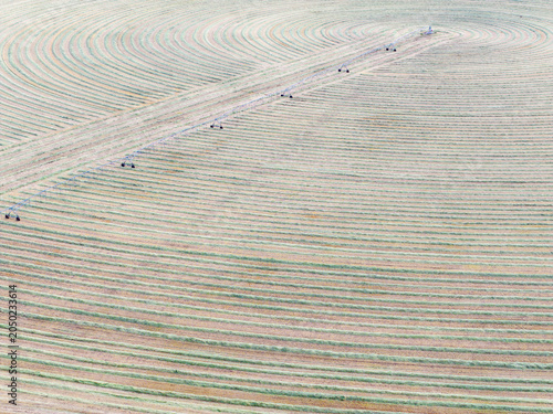 Top-down view of curved crop fields
