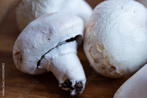 Macro shot of fresh white Agaricus mushrooms