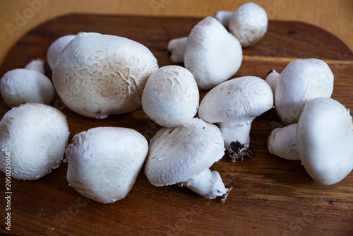 Fresh white Agaricus mushrooms on a wooden cutting board