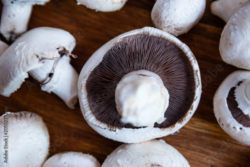 Close-up of fresh Agaricus mushrooms with visible stem and gills