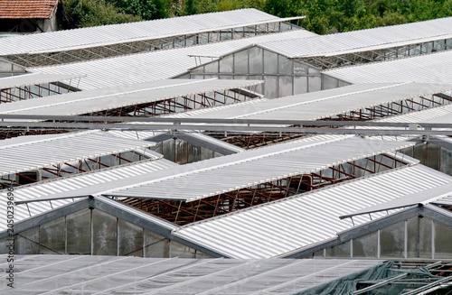 Glass and fiberglass greenhouse roofs in a green area