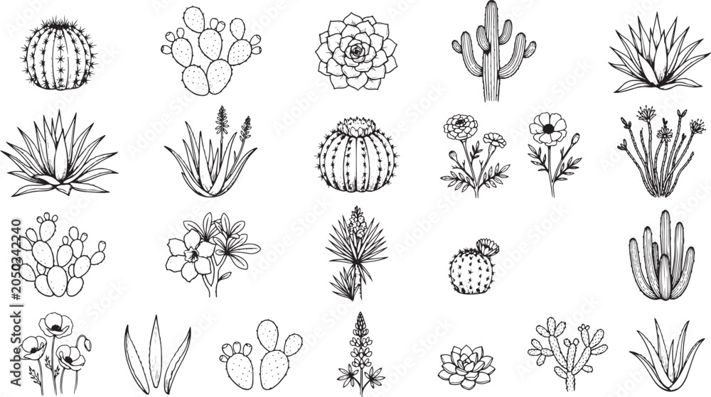 Fototapeta premium DESERT BOTANICAL Plants Flowers Sets Packs, Editable Vectors Strokes Illustrations. containing cactus, succulent, desert, botanical, hand, drawn, sketch, illustration, plant and mores plants flowers