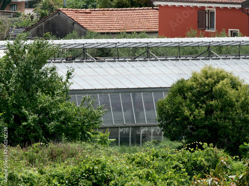 Glass and fiberglass greenhouse roofs in a green area