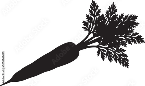 Photography Carrot silhouette with leafy top garden vegetable organic farm root crop healthy nutrition fresh plant