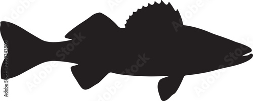 Walleye fish silhouette vector illustration for freshwater fishing and lake wildlife design element icon.