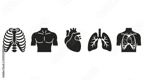 Anatomy Chest Icons Set