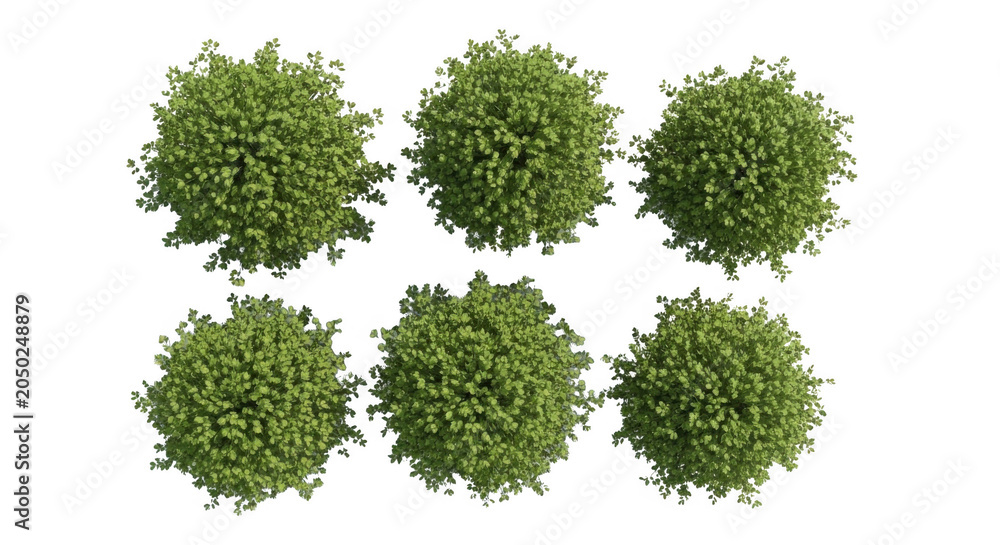 Obraz premium Six green spherical trees viewed from directly above, isolated on a solid black background, for architectural site, planning and landscaping