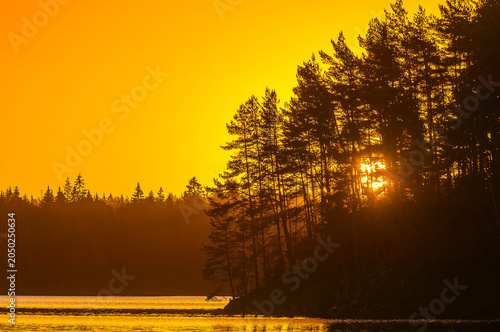 Sunrise view at the lake near Gothenburg in Sweden with trees along the shoreline