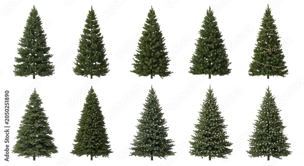 Obraz premium Ten isolated green christmas trees in two rows, featuring various pine and fir tree shapes with some decorated with tiny lights against a