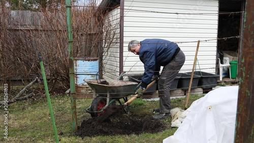 A gardener plants a bush in a garden bed in a park. A gardener plants a plant in a garden plot.