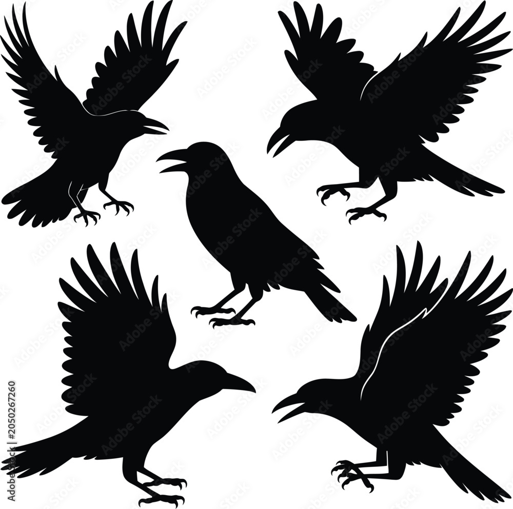 Fototapeta premium Set of Eagle Silhouettes in Flying and Perched Poses Vector Illustration