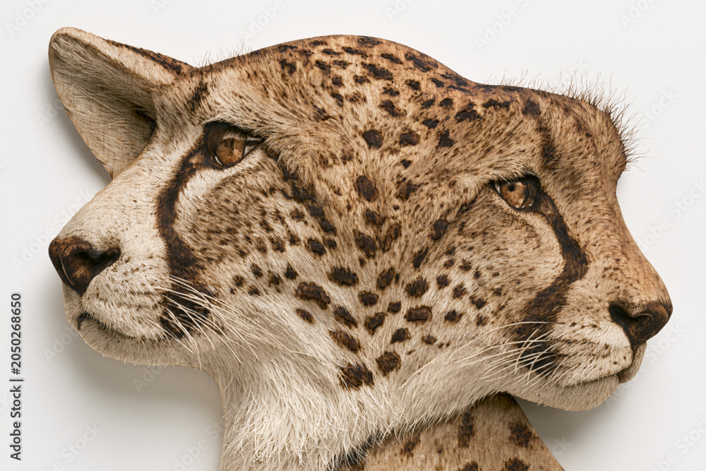 Fototapeta premium Stunning Cheetah Portrait: Close-up of Endangered Big Cat in Natural Habitat for Biodiversity and Conservation Awareness