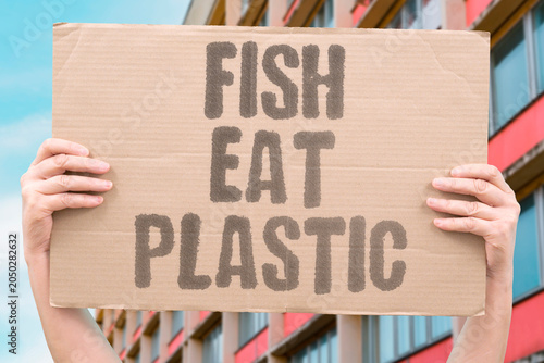 Vászonkép "Fish eat plastic" Marine life ingests synthetic waste