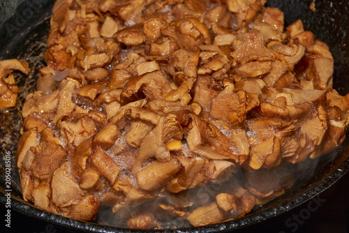 Boiled chanterelle mushrooms thawing in a frying pan with visible steam. Home cooking process for preparing mushroom filling for tartlets, pies, appetizers, and hot dishes.