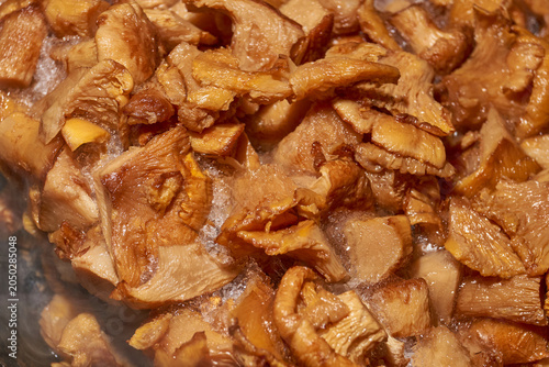 Boiled chanterelle mushrooms thawing in a frying pan with visible steam. Home cooking process for preparing mushroom filling for tartlets, pies, appetizers, and hot dishes.