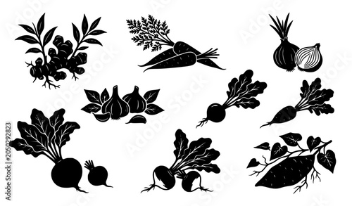 Photography Root Vegetables Silhouette Icon Set with Ginger and Leafy Greens Vector Collecti