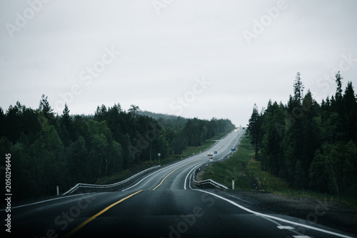 Bild auf Leinwand Lonely winding highway through misty evergreen forest