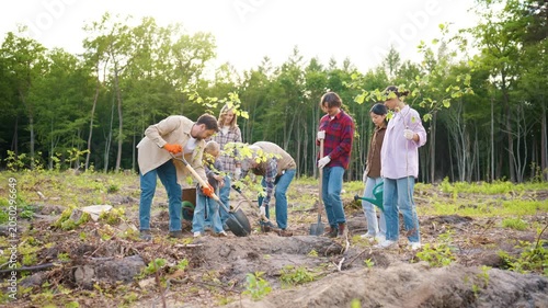 Eco teamwork in action. Diverse volunteers planting young trees and caring for saplings. Men women and child supporting eco conservation together. Forest restoration project promoting sustain.