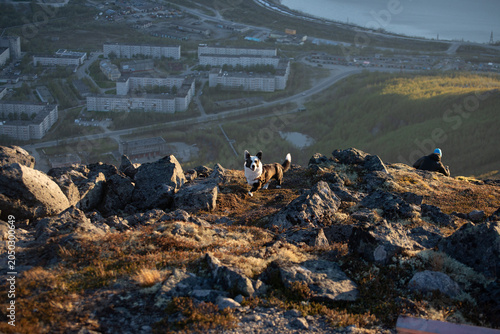 Dog and hiker on rocky hill overlooking coastal town at sunset