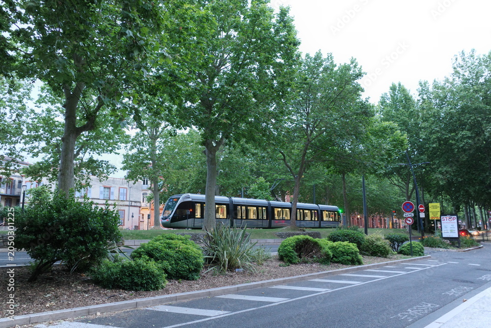 Fototapeta premium tram passing through tree lined street in Toulouse urban transport