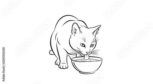 Photos Cat drinking from a bowl.