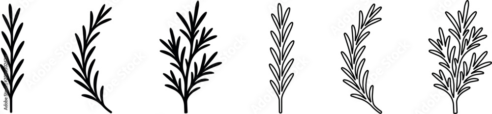 Obraz premium Black and white rosemary sprigs line art illustrations set