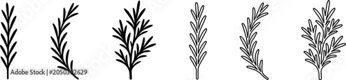 Black and white rosemary sprigs line art illustrations set