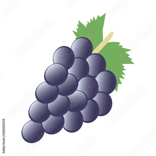 Photos Black Grape Icon Isolated on White Background – Fresh Dark Purple Vineyard Fruit