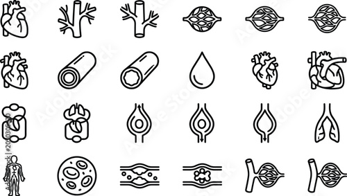 Fotografi Set of human circulatory system icons and cardiovascular anatomy symbols