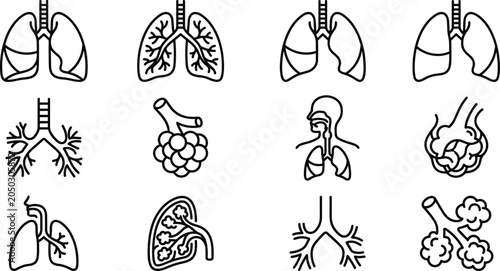 Bild auf Leinwand Set of human lung and respiratory system line art icons.