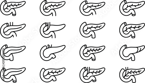 Bild auf Leinwand Set of anatomical icons showing different pancreas variations and ductal patterns