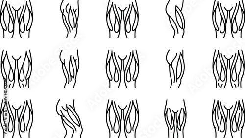 Bild auf Leinwand Set of human leg muscle anatomy line art icons.