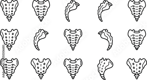 Cuadro en lienzo Set of anatomical sacrum bone icons in various perspectives and views