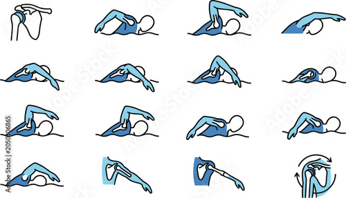Schilderij op canvas Anatomical illustration showing the phases of a freestyle swimming stroke and shoulder mechanics