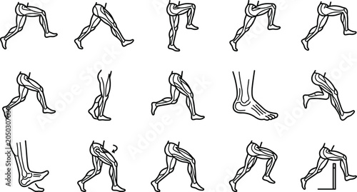 Cuadro en lienzo Anatomical collection of leg and foot movement sketches.