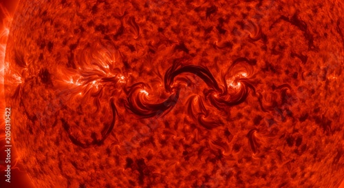Close-up worm crawling on red textured surface with organic pattern background