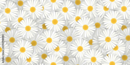 Seamless Daisy Floral Background for Design Wallpaper, Prints and Covers