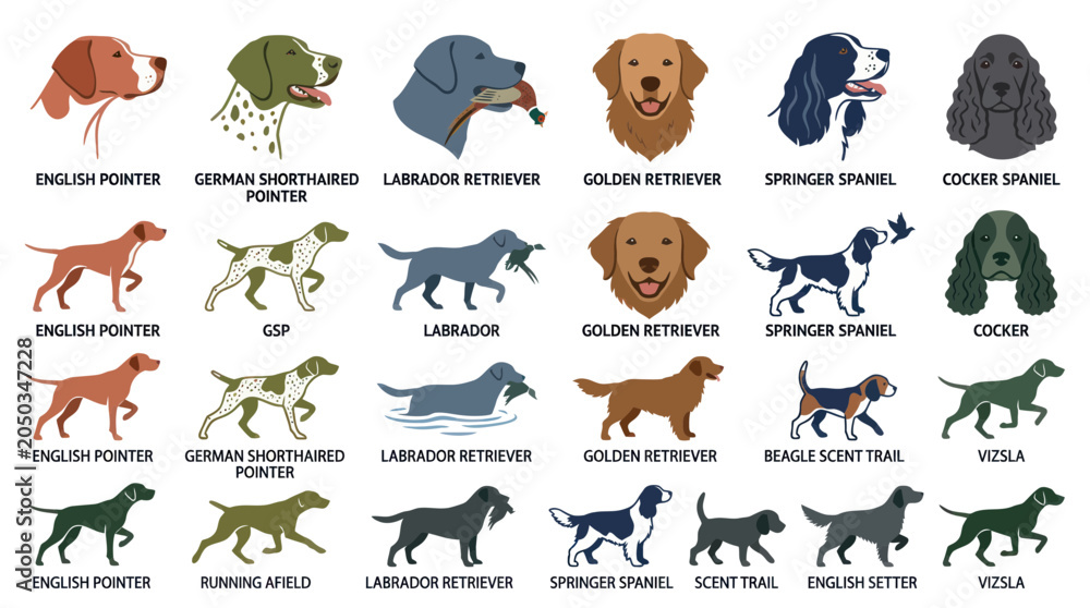 Fototapeta premium Dog Breeds Collection: Diverse Canine Companions Illustration