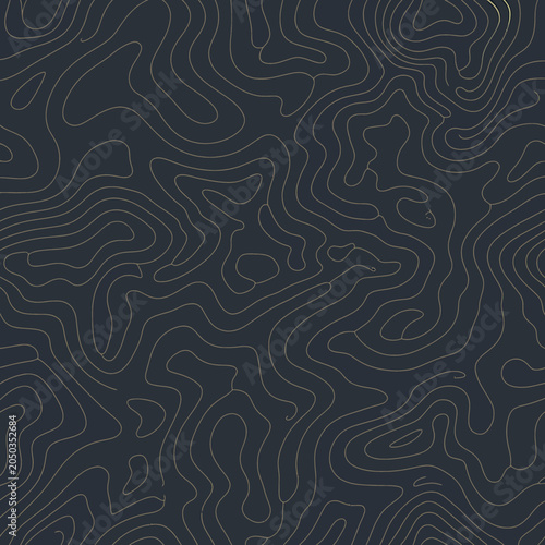 Elegant topographic map contour lines in gold on a dark navy blue background creating an abstract organic terrain texture