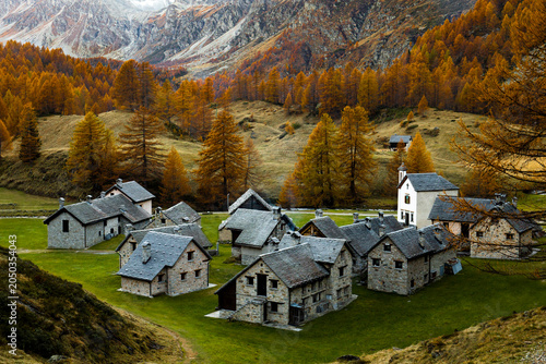 Traditional alpine village surrounded by golden autumn trees. Picture taken at Alpe Devero (Piedmont, Italy) showing the Crampiolo village.