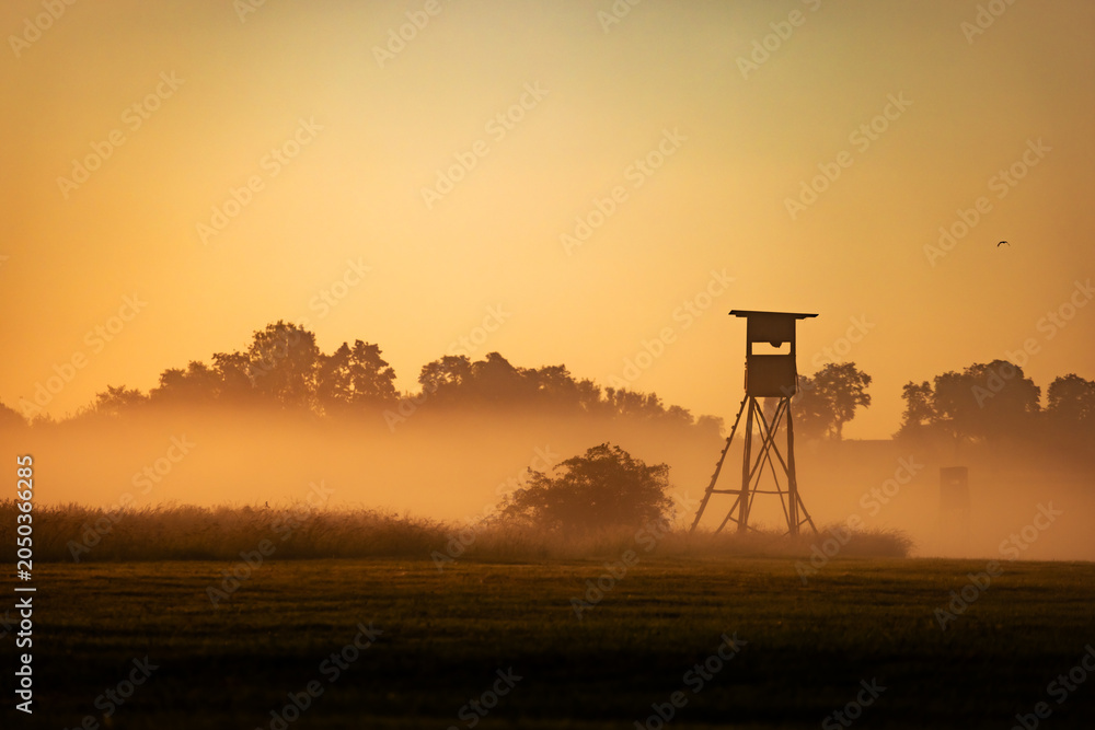 Naklejka premium Hochsitz im Morgennebel