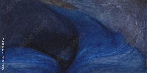 Photography Blue monkey fur texture close up wildlife photography