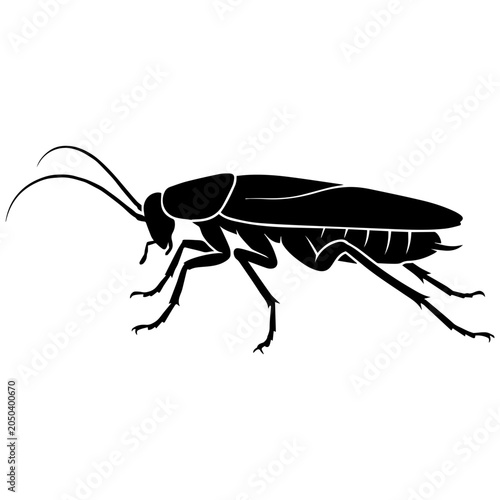 фотографія Cockroach Silhouette on White Background