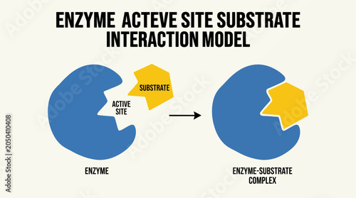 Schilderij op canvas Enzyme Active Site Substrate Interaction Model