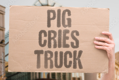 Φωτογραφία "Pig cries truck" Animal transported to slaughter facility
