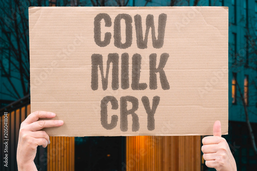 Φωτογραφία "Cow milk cry" Dairy industry causes maternal distress