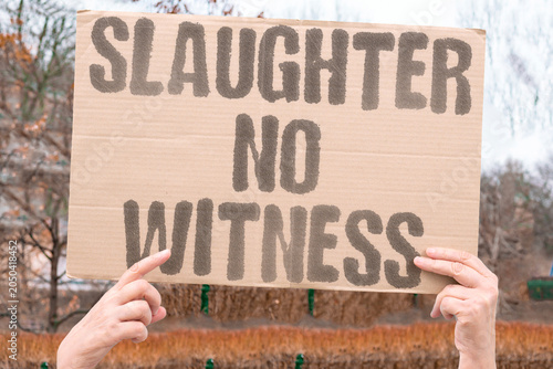фотографія "Slaughter no witness" Killing occurs without observation