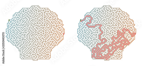 Shell-shaped maze design with solution path for summer labyrinth printable  