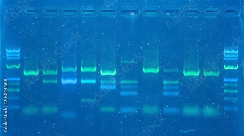 DNA electrophoresis gel, molecular biology and research macro close-up, scientific detail, laboratory background