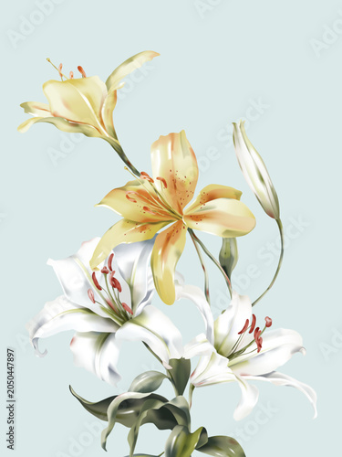Flower wall art, minimalist stylized watercolor-style Lily Casa Blanca and Li...